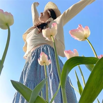 熊出没之年货